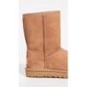 UGG Classic Short II 1016223 | Bottes Iconiques